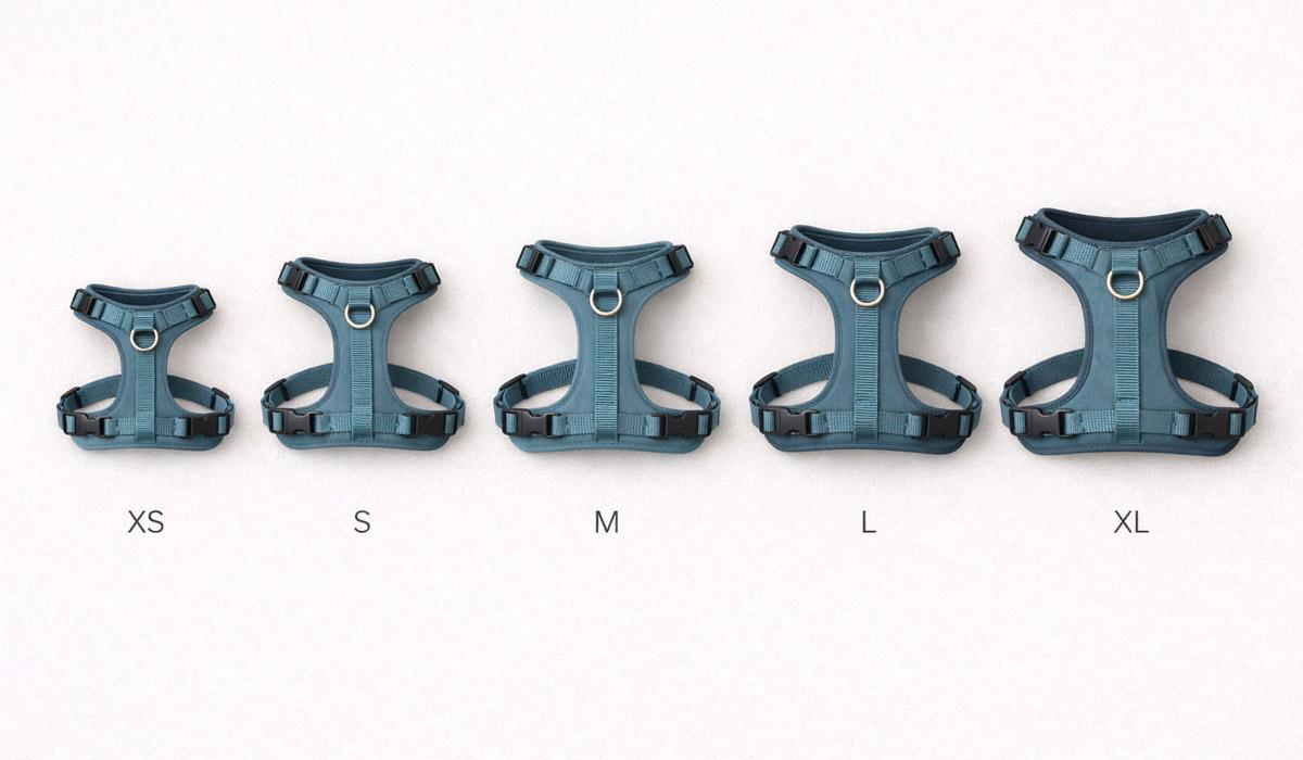 Pet pattern grading size run line sheet consistent proportions across sizes