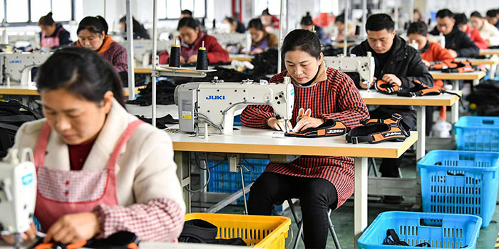 Pet product manufacturing team and production environment